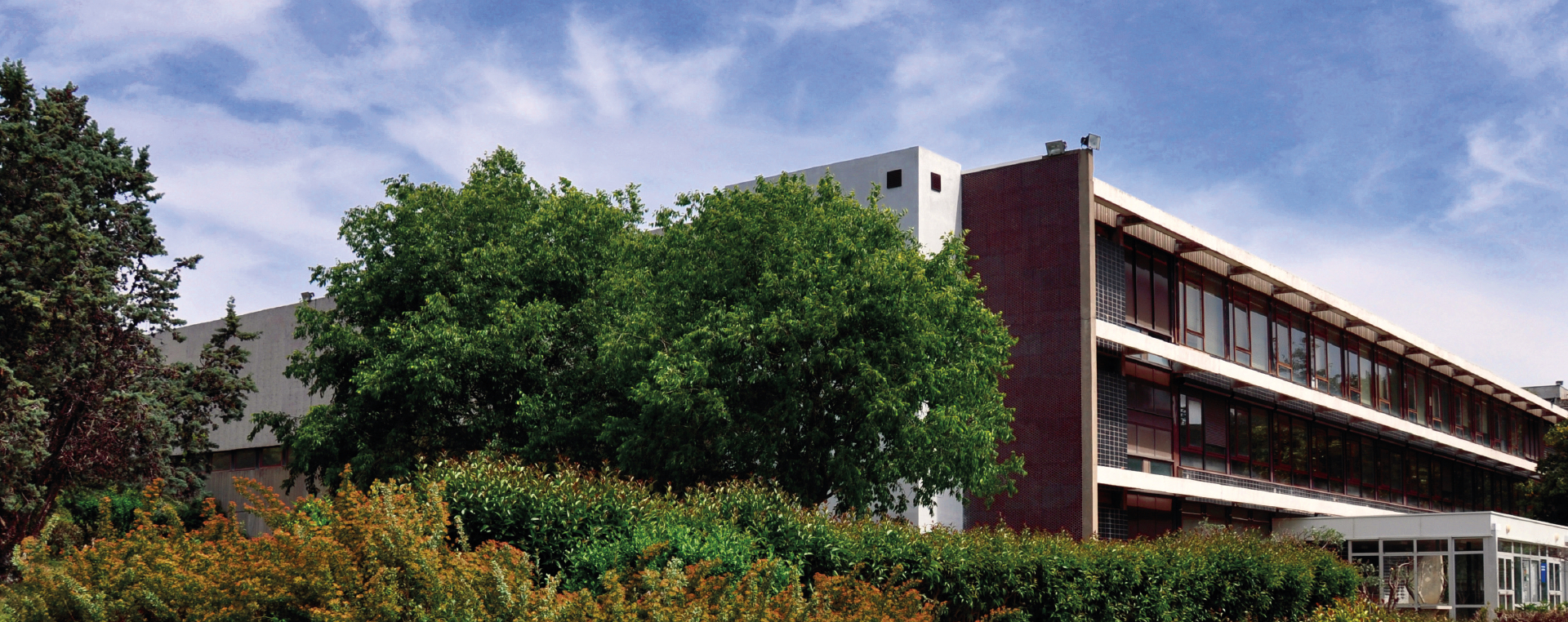 Université Montpellier 3